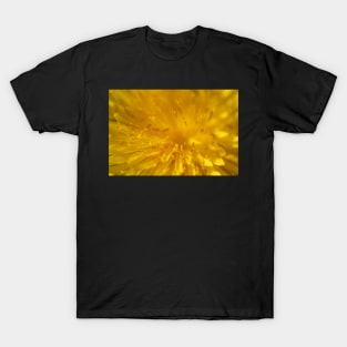 Yellow dandelion flower macro T-Shirt